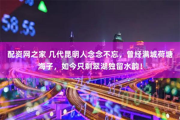 配资网之家 几代昆明人念念不忘，曾经满城荷塘海子，如今只剩翠湖独留水韵！